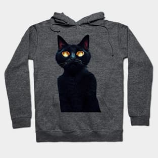 Black cat Drawing Hoodie